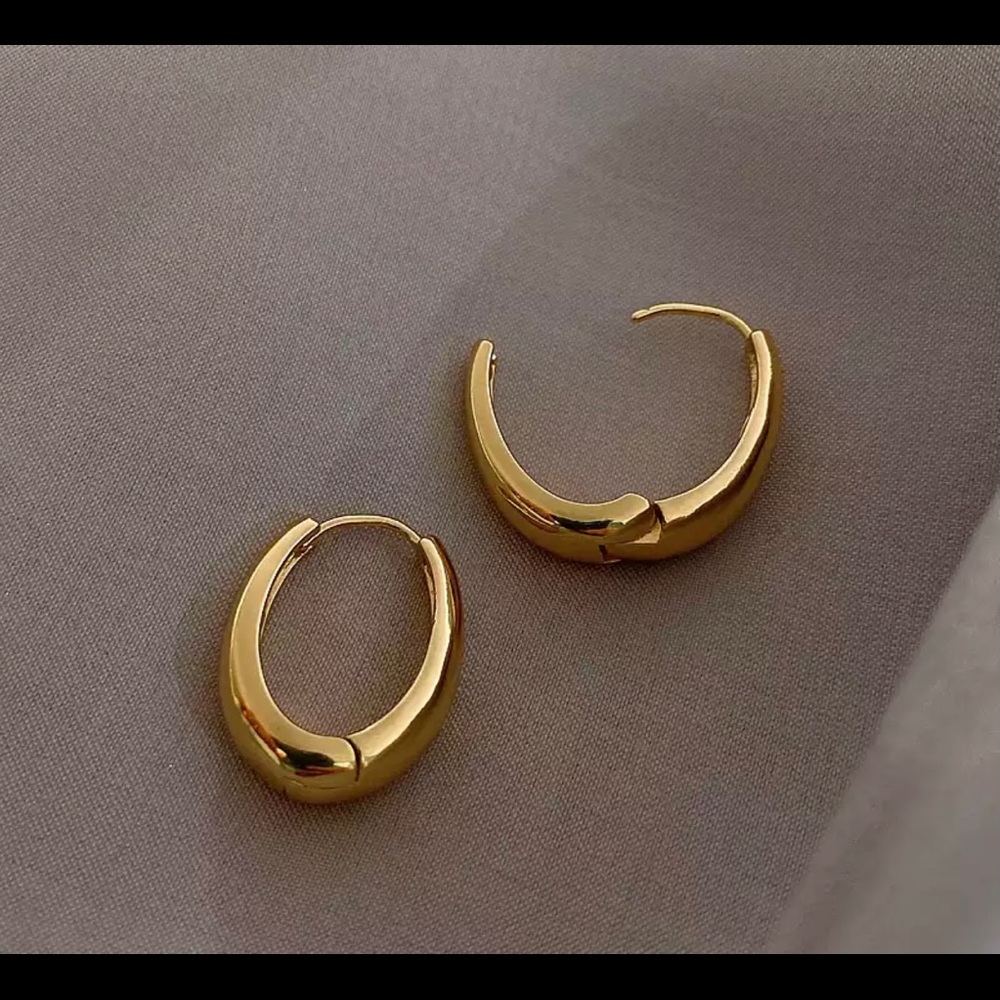 Oval hoop earrings